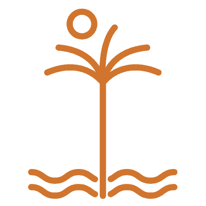 Ilustración de un árbol estilizado con sol y agua, representando la naturaleza y tranquilidad en Masaya.