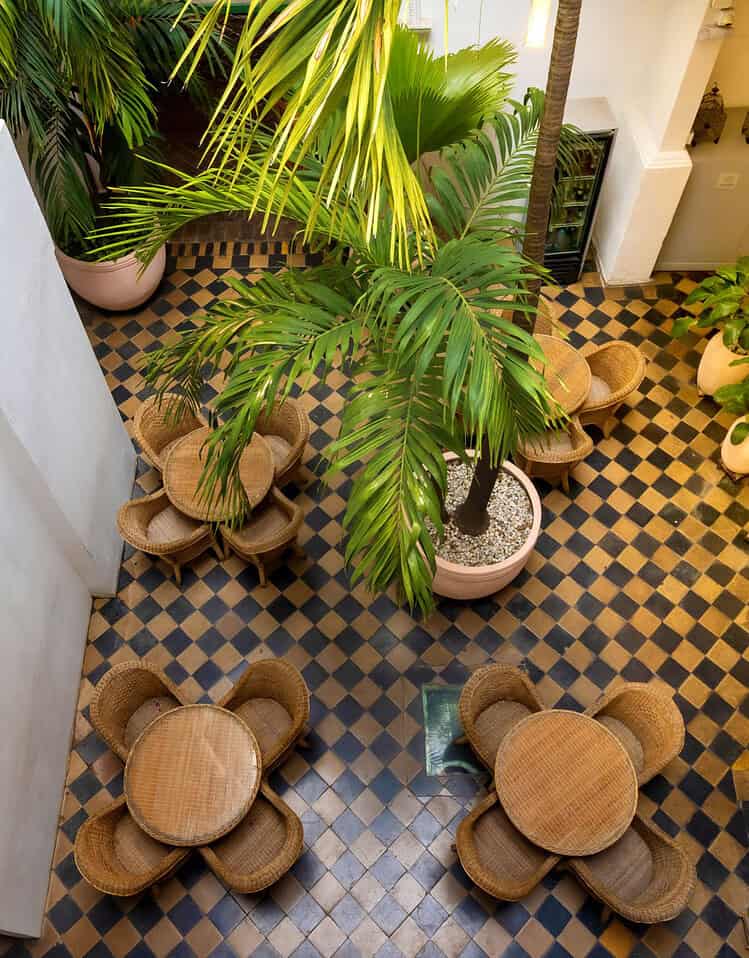 Vista aérea de un espacio interior con mesas de madera, plantas tropicales y un suelo de baldosas en patrón de cuadros.