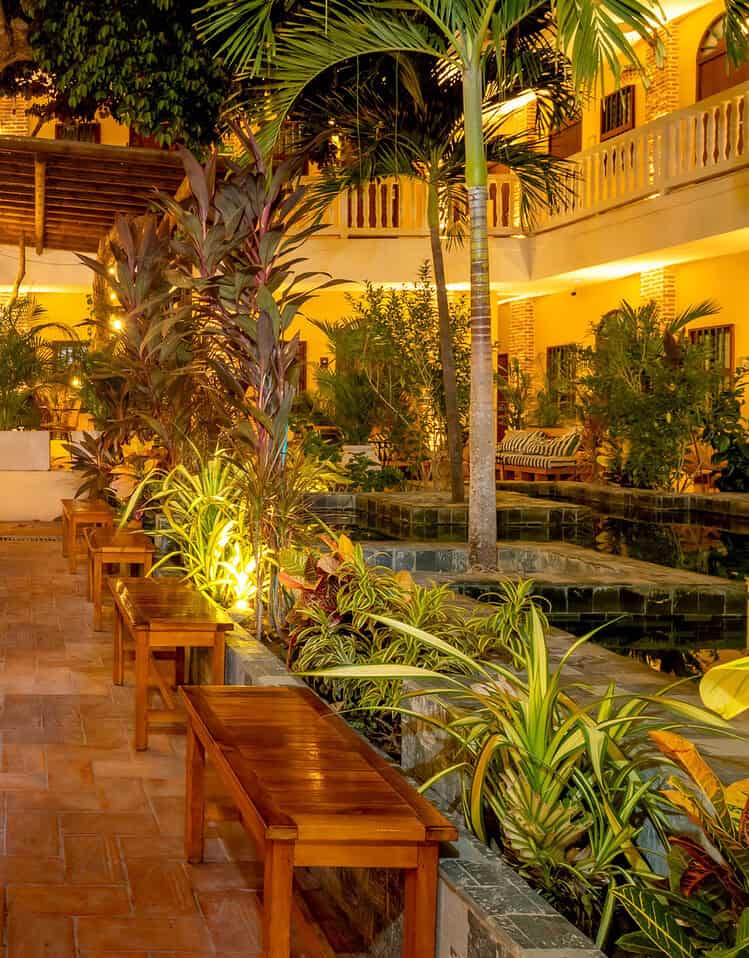 Zona de descanso con sillas de madera y plantas tropicales en M, hotel boutique en Colombia.