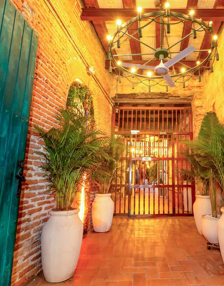 Entrada decorada con plantas verdes en macetas blancas y puertas verdes, con iluminación cálida y techo de madera en M.