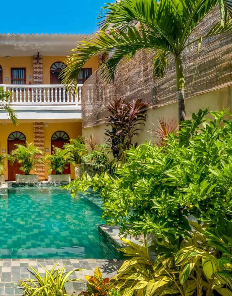 Piscina en hotel boutique M rodeada de palmeras y vegetación tropical.