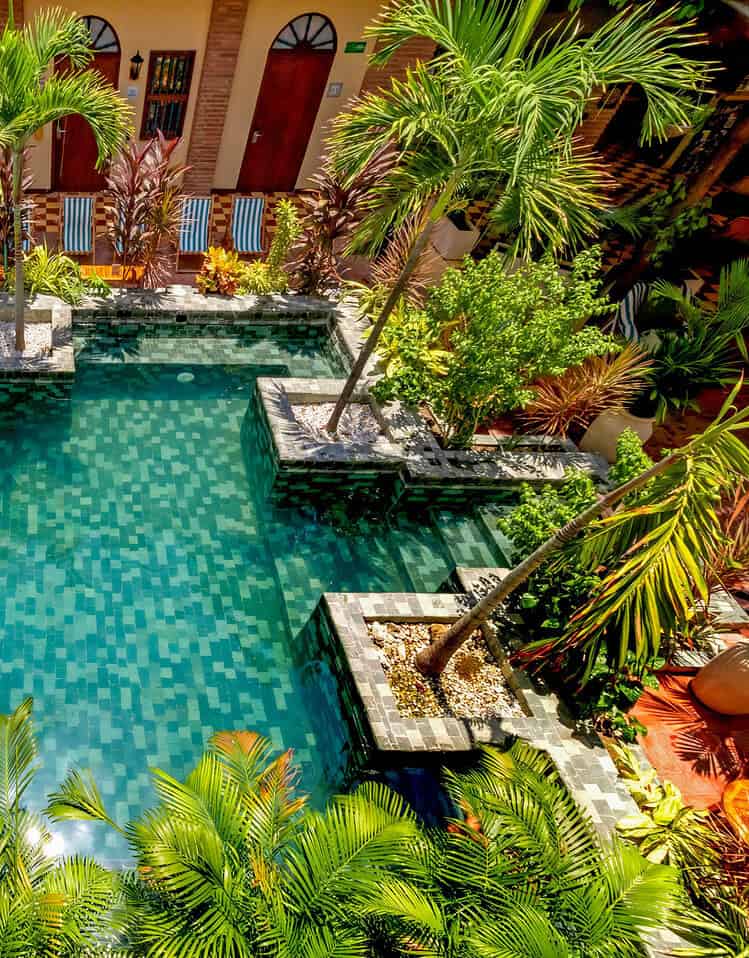 Piscina rodeada de palmeras y plantas tropicales en el hotel M, un oasis de tranquilidad y belleza.
